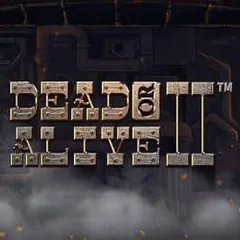 Dead or Alive 2 — play at Duelz Casino